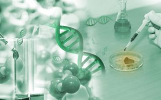 Islet Biologists Work with Patient Partners on New Publication